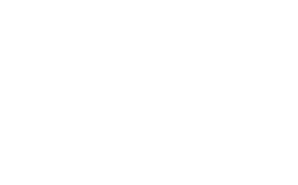 Aniz