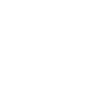 Lost N Found Youth 