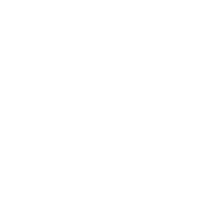 Rustin Institute